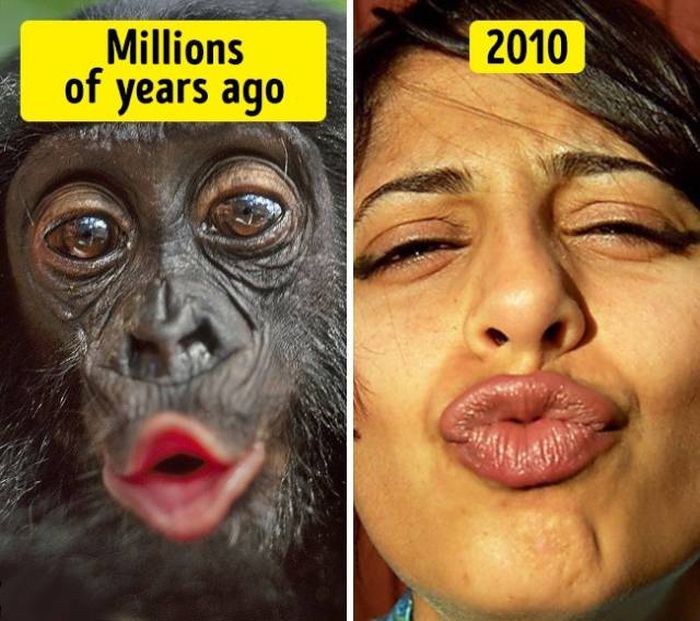 The More Humans Change The More We Stay The Same (11 pics)