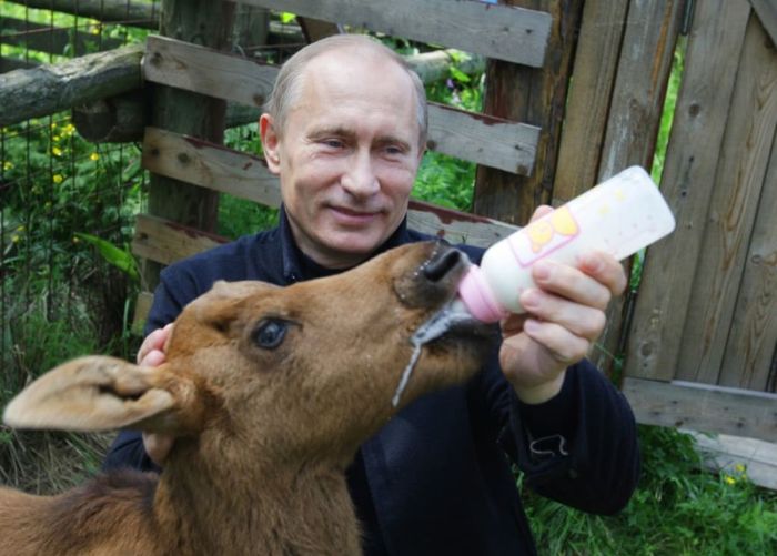 A Look At Vladimir Putin's Crazy Life (28 pics)