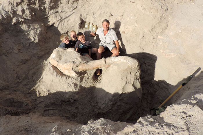 Boy Trips And Discovers Million-Year-Old Fossil (5 pics)