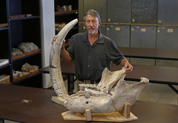 Boy Trips And Discovers Million-Year-Old Fossil (5 pics)