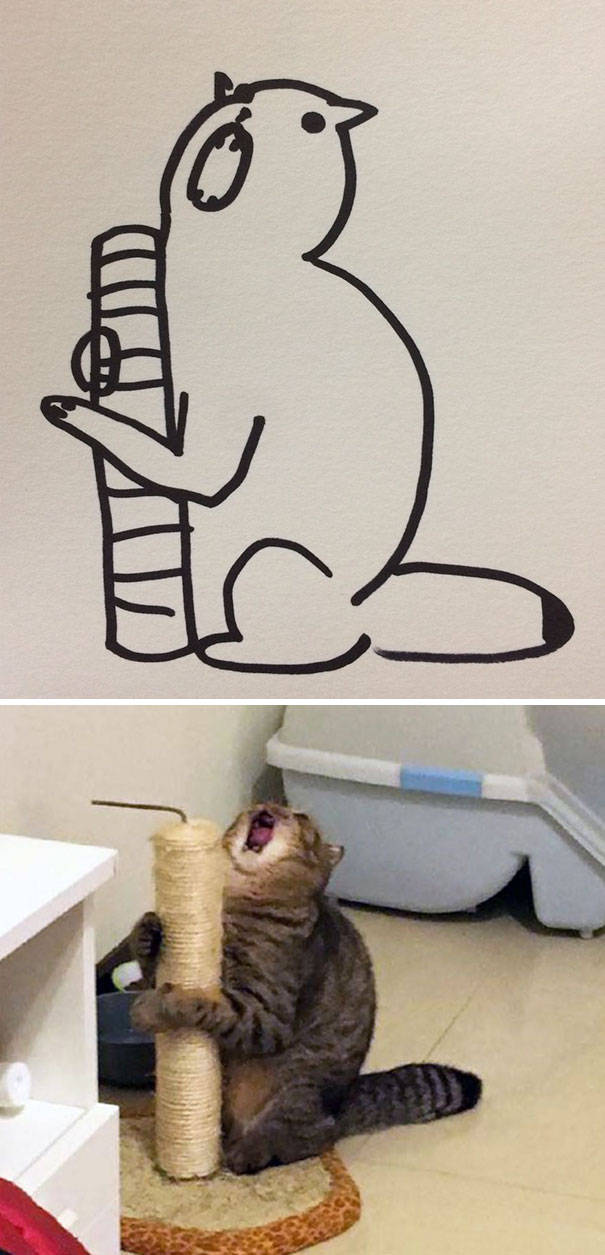 Cat Drawings That Are Actually Pretty Accurate (20 pics)