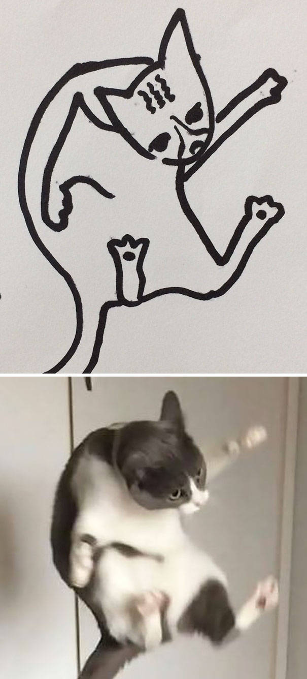 Cat Drawings That Are Actually Pretty Accurate (20 pics)