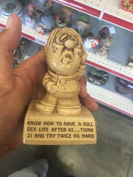 No One Will Ever Know Where Thrift Shops Find All This Stuff (38 pics)