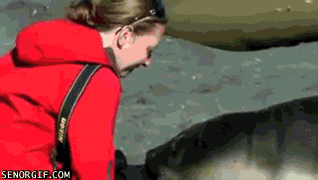 Acid Gifdump, July 27, 2017 (25 gifs)