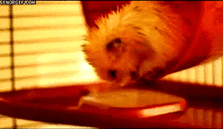 Acid Gifdump, July 27, 2017 (25 gifs)