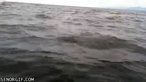 Acid Gifdump, July 27, 2017 (25 gifs)