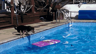 Acid Gifdump, July 27, 2017 (25 gifs)
