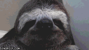 Acid Gifdump, July 27, 2017 (25 gifs)