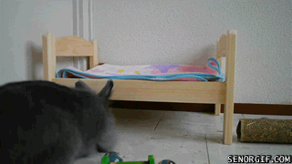 Acid Gifdump, July 27, 2017 (25 gifs)