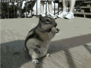 Acid Gifdump, July 27, 2017 (25 gifs)