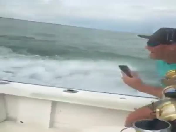 These Assholes Think It's Cool To Abuse A Helpless Shark