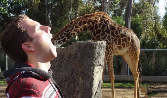 Men Do Some Really Crazy Things Sometimes (56 pics)