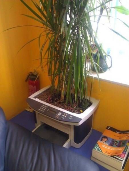 Work Is The One Thing You Can't Escape (39 pics)