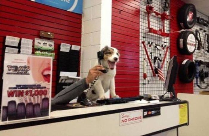 Work Is The One Thing You Can't Escape (39 pics)