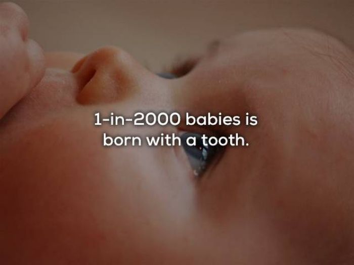 Fascinating Facts About The Human Body (29 pics)