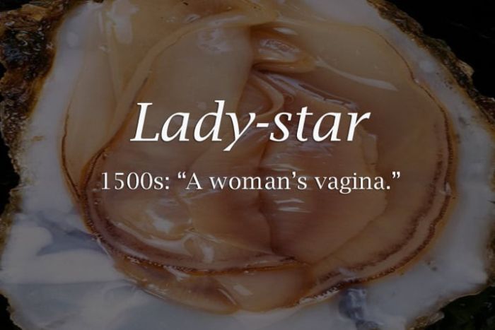 Long Lost Historical Words That You Need In Your Life (19 pics)