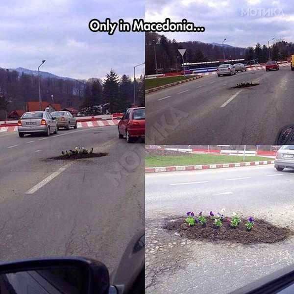 Acid Picdump (99 pics)