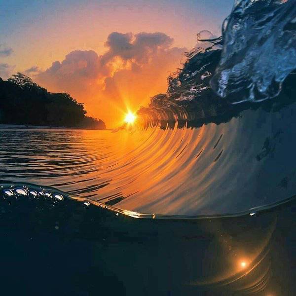 Acid Picdump (99 pics)