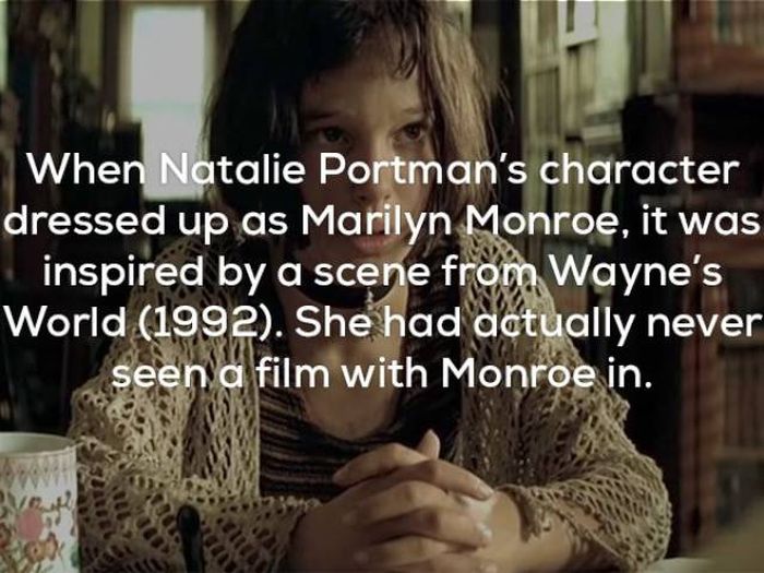 Killer Facts You Need To Know About Léon: The Professional (17 pics)