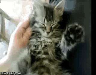 Acid Gifdump, July 31, 2017 (25 gifs)