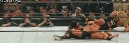 Acid Gifdump, July 31, 2017 (25 gifs)