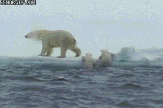Acid Gifdump, July 31, 2017 (25 gifs)