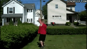 Acid Gifdump, July 31, 2017 (25 gifs)