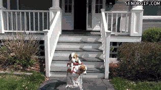 Acid Gifdump, July 31, 2017 (25 gifs)