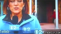 Acid Gifdump, July 31, 2017 (25 gifs)