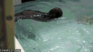 Acid Gifdump, July 31, 2017 (25 gifs)