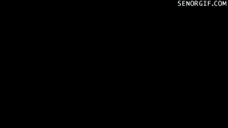 Acid Gifdump, July 31, 2017 (25 gifs)