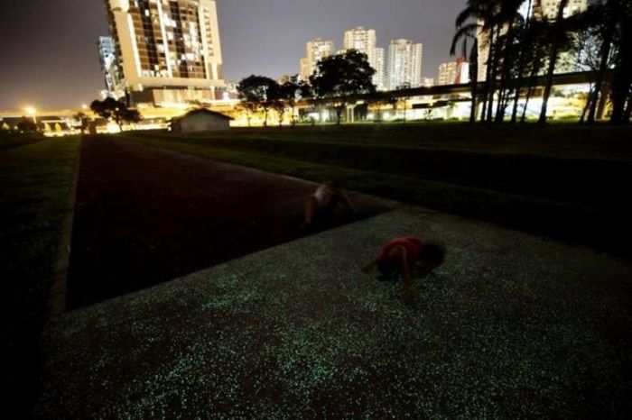 Luminous Path In Singapore Will Light Up Your Life (7 pics)