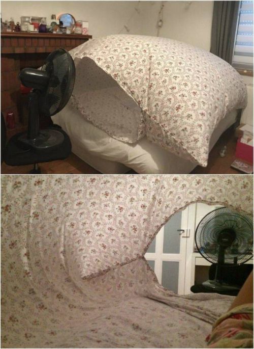 Acid Picdump (96 pics)