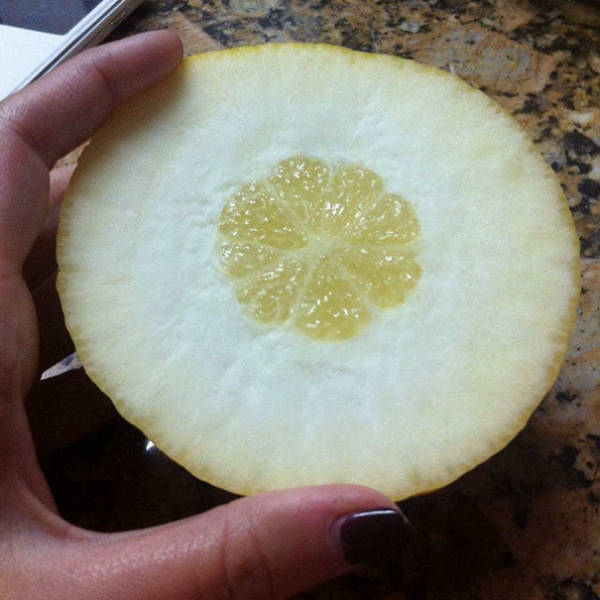 Don't Trust Food, It Can Betray You (39 pics)