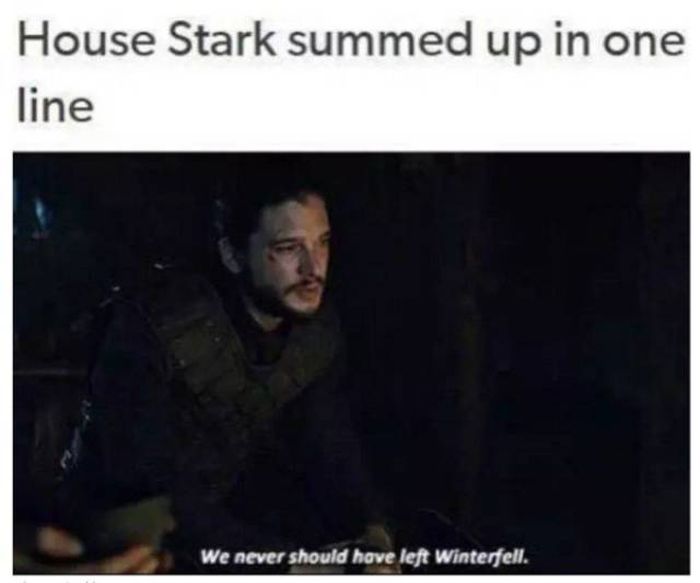 Quench Your Game Of Thrones Thirst With Juicy Memes (29 pics)