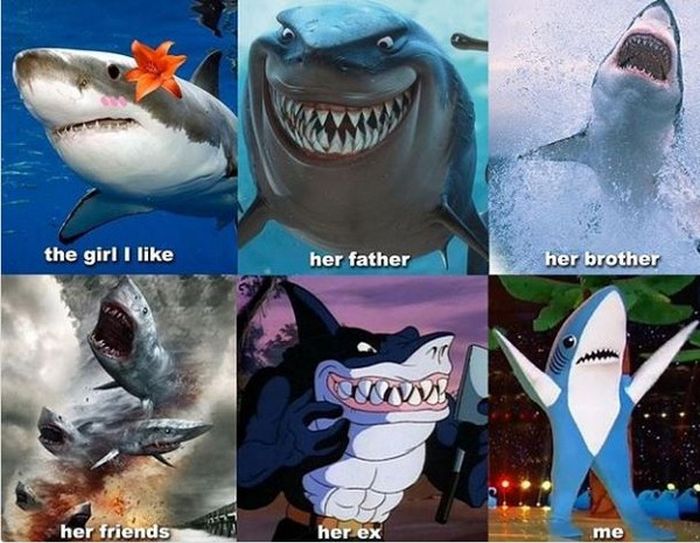 Hilarious Posts About Sharks That Are Sharktastic (17 pics)
