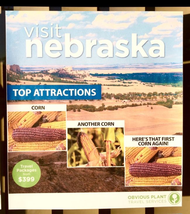 Fake State Tourism Flyers That Are Funny And Accurate (5 pics)