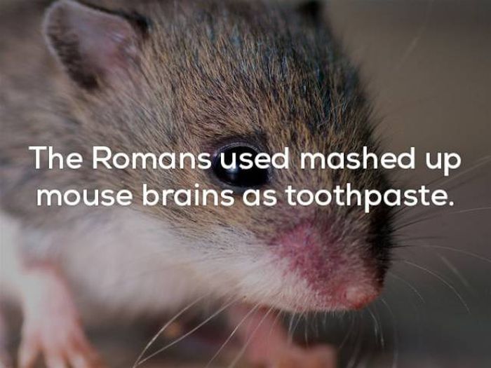 Facts That Will Keep You Up All Night Long (22 pics)