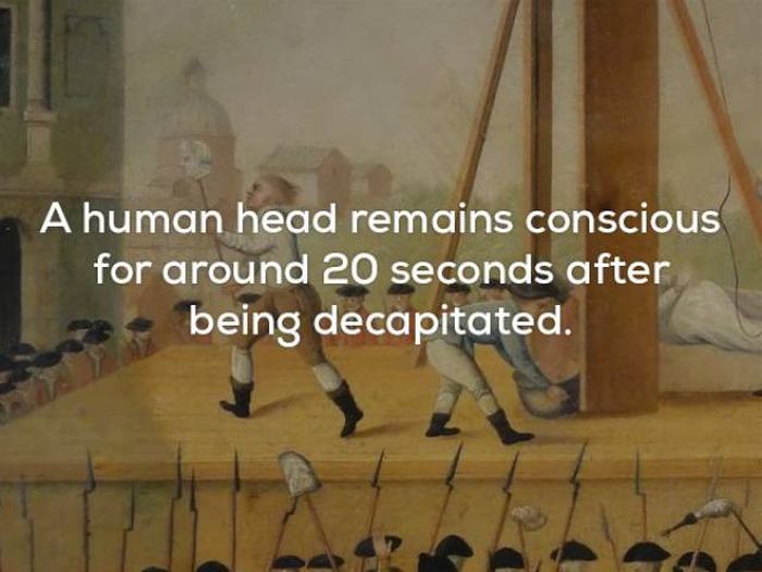 Facts That Will Keep You Up All Night Long (22 pics)
