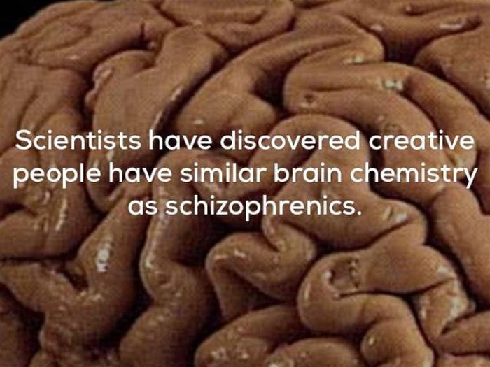 Facts That Will Keep You Up All Night Long (22 pics)