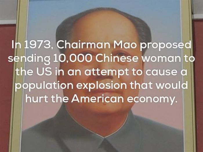Facts That Will Keep You Up All Night Long (22 pics)