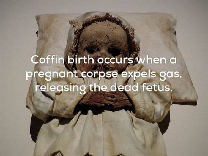 Facts That Will Keep You Up All Night Long (22 pics)