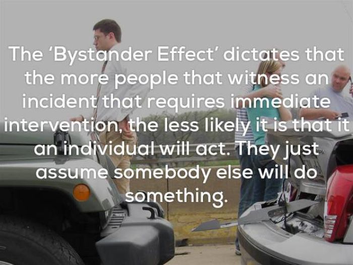 Facts That Will Keep You Up All Night Long (22 pics)