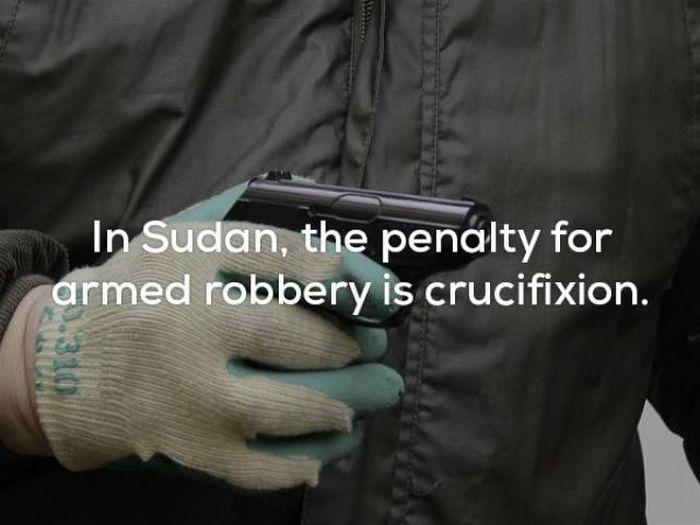 Facts That Will Keep You Up All Night Long (22 pics)