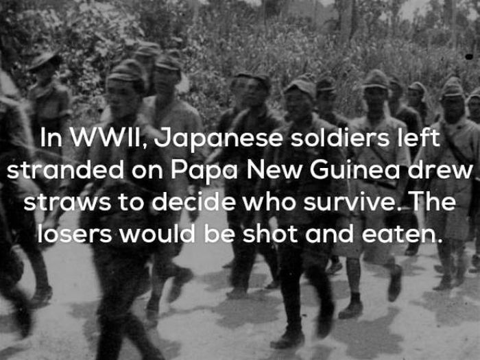 Facts That Will Keep You Up All Night Long (22 pics)