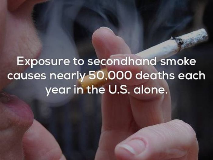 Facts That Will Keep You Up All Night Long (22 pics)