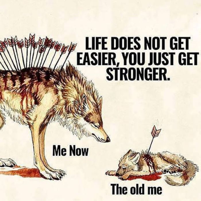 There’s No Such Thing As Too Much Motivation (31 pics)