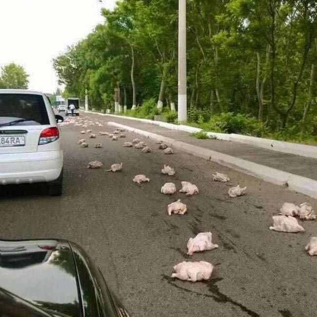 There's No Way To Explain Why These Things Happened (38 pics)