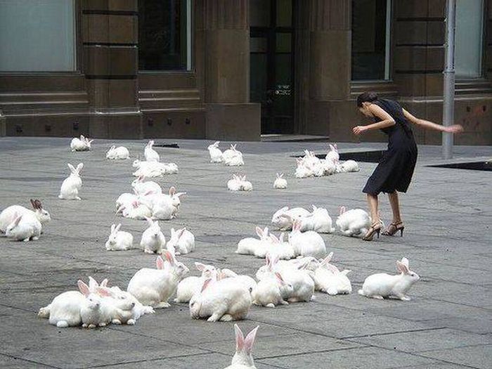 There's No Way To Explain Why These Things Happened (38 pics)