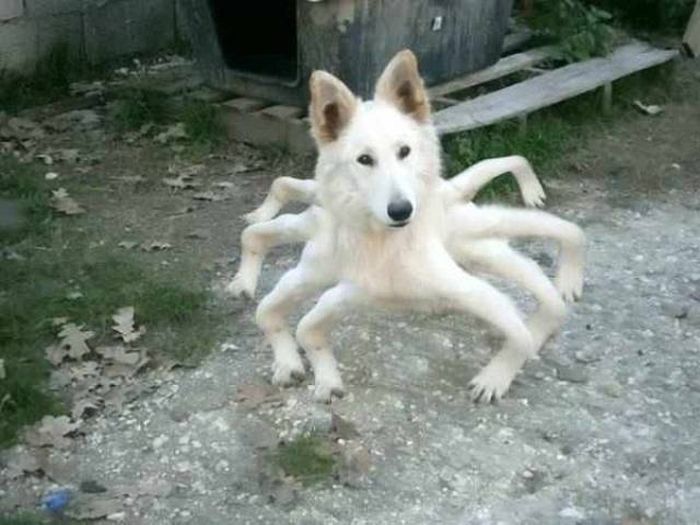 There's No Way To Explain Why These Things Happened (38 pics)